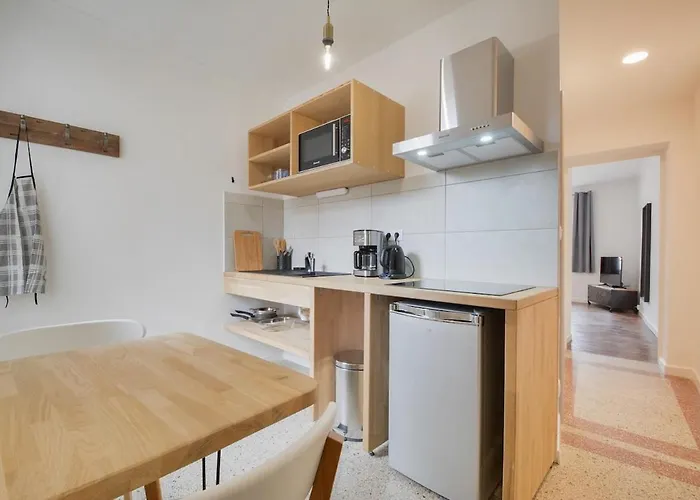 Place Stanislas 4eme 公寓 南锡